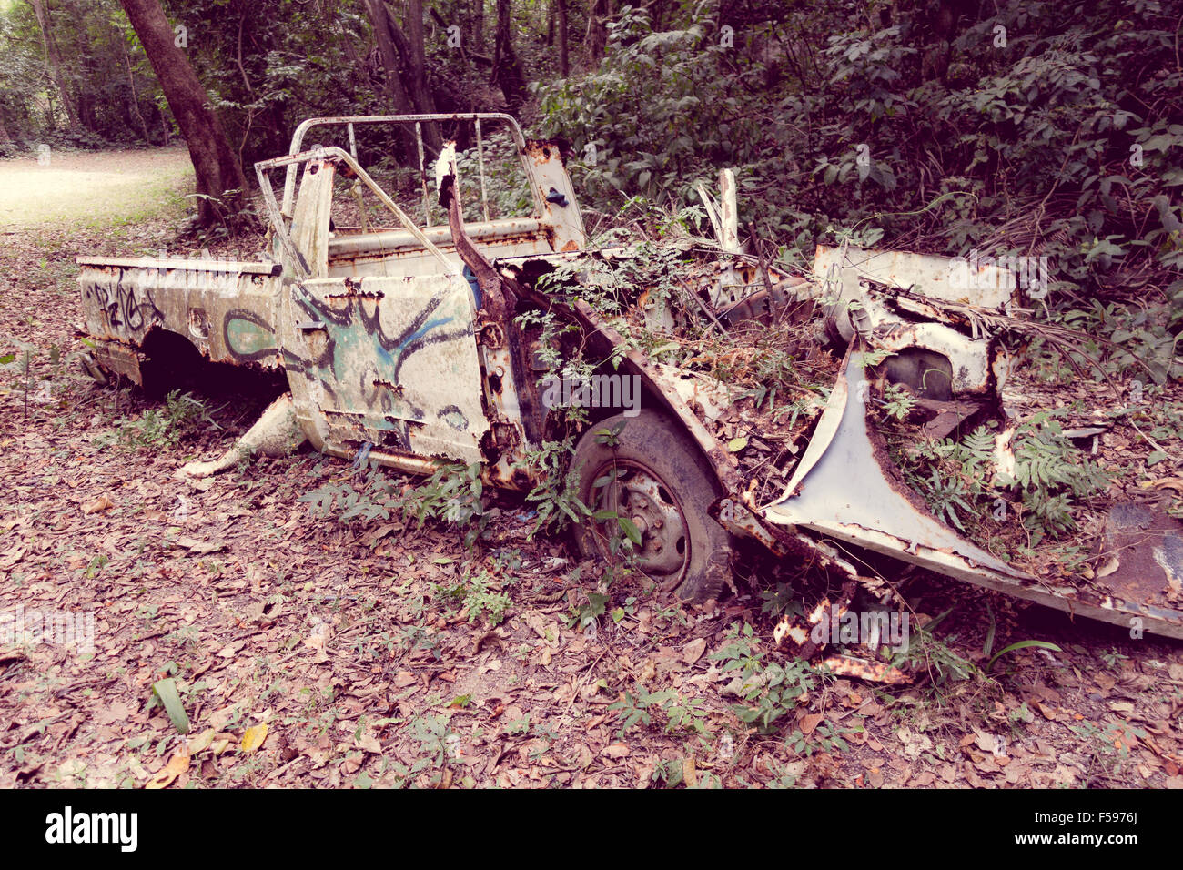 Abandoned car in the jungle Stock Photo - Alamy
