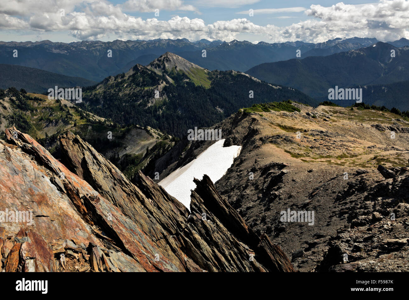 WA10761-00...WASHINGTON - Mount Scott viewed from Mount Ferry in the Bailey Range of Olympic National Park. Stock Photo