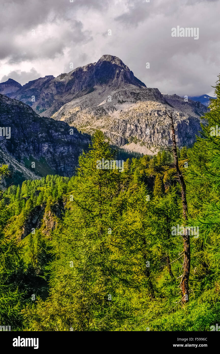 Italy Piedmont Alpe Devero Natural Park Mountain landscape near Pizzo ...