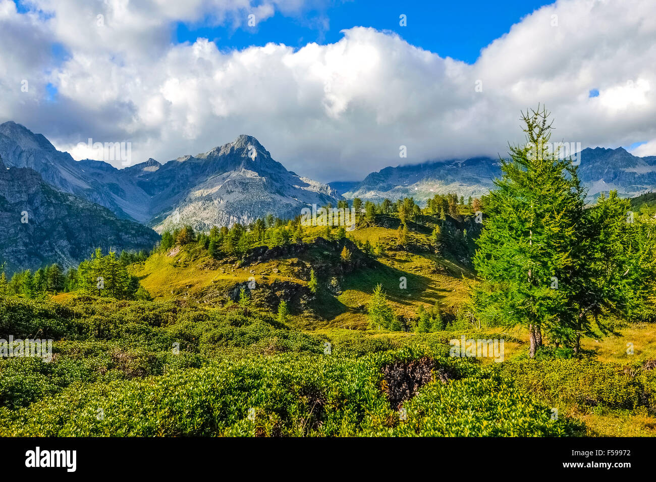Italy Piedmont Alpe Devero Natural Park Mountain landscape near Pizzo ...