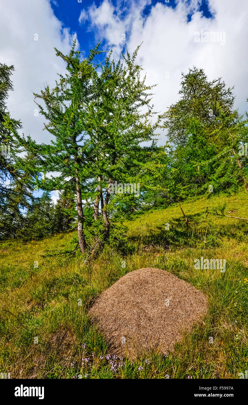 Italy Piedmont Alpe Devero Natural Park mountain landscape of the Alpe ...