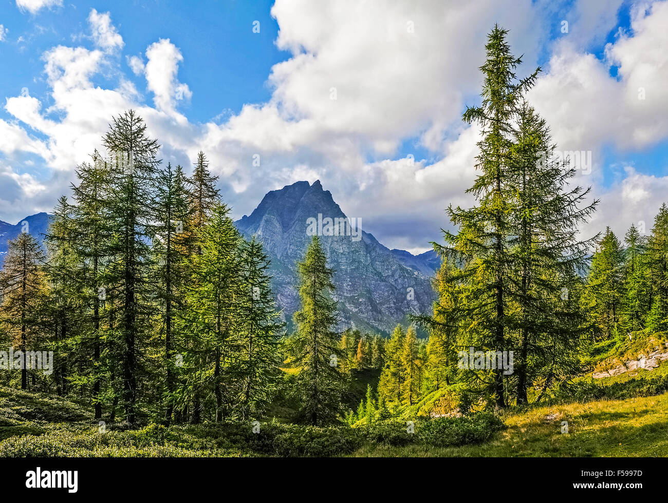 Italy Piedmont Alpe Devero Natural Park mountain landscape of the Alpe ...