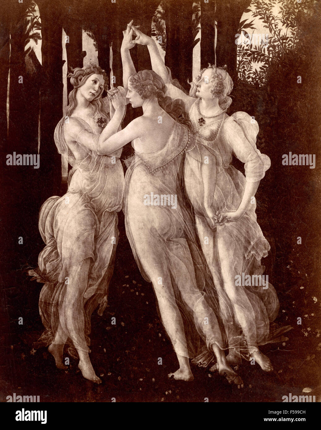 The Three Graces, detail of Primavera of Botticelli, Italian Stock Photo