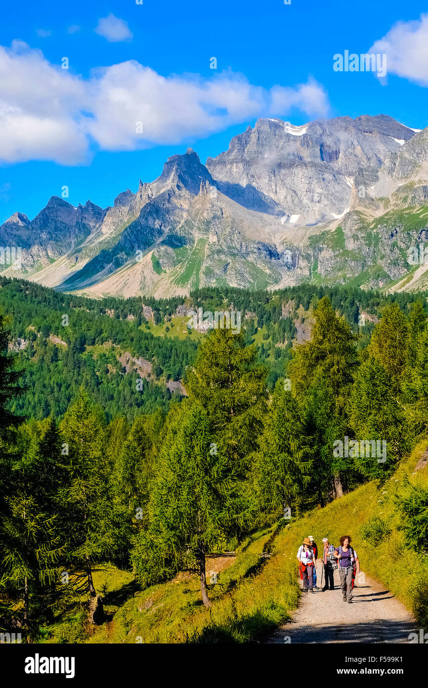 Italy Piedmont Alpe Devero Natural Park mountain landscape of the Alpe ...