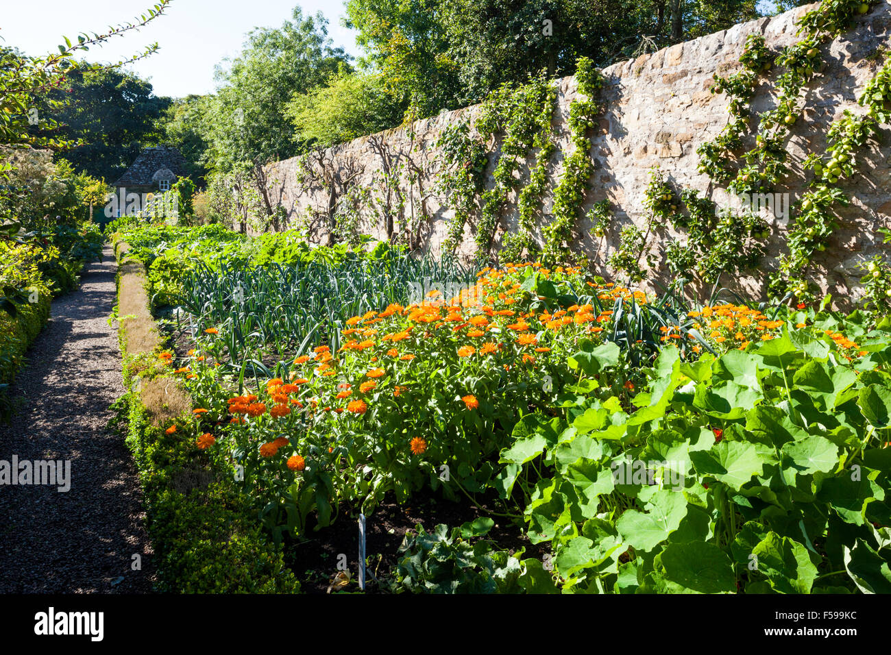 The gardens at Kellie Castle, near Arncroach, Fife, Scotland UK Stock