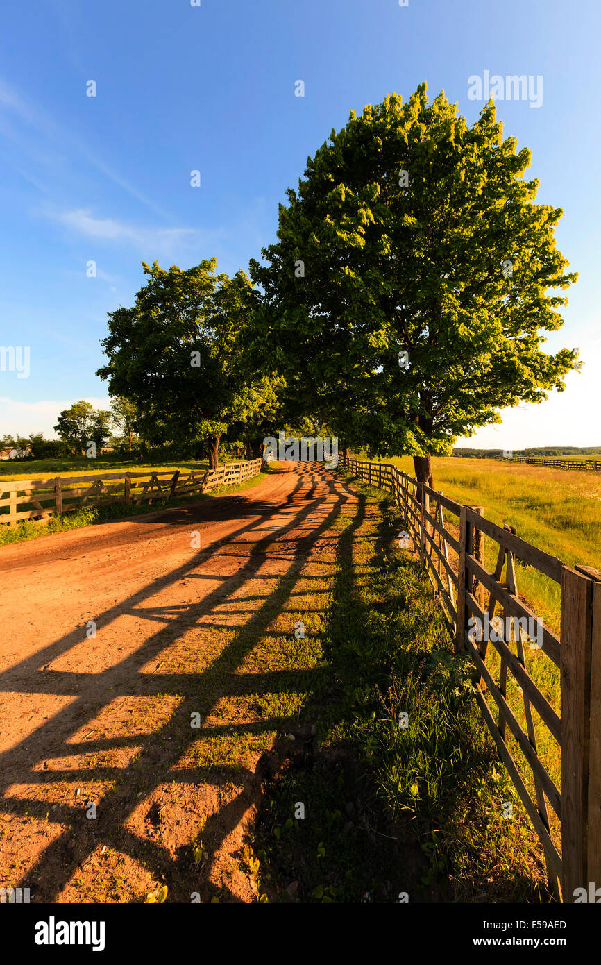 Driveway fence tree hi-res stock photography and images - Alamy