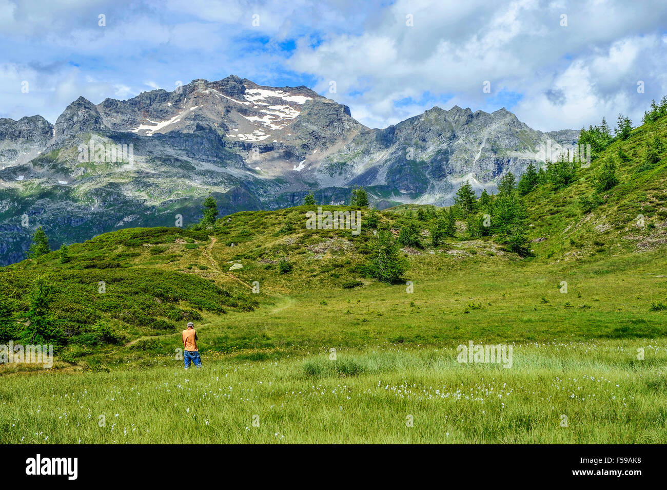 Italy Piedmont Alpe Devero Natural Park peat bog with the peaks of ...