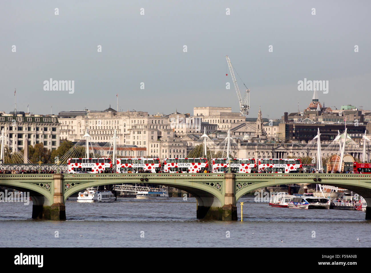 Line of London buses on Westminster Bridge painted with poppies for the British Legion Stock Photo