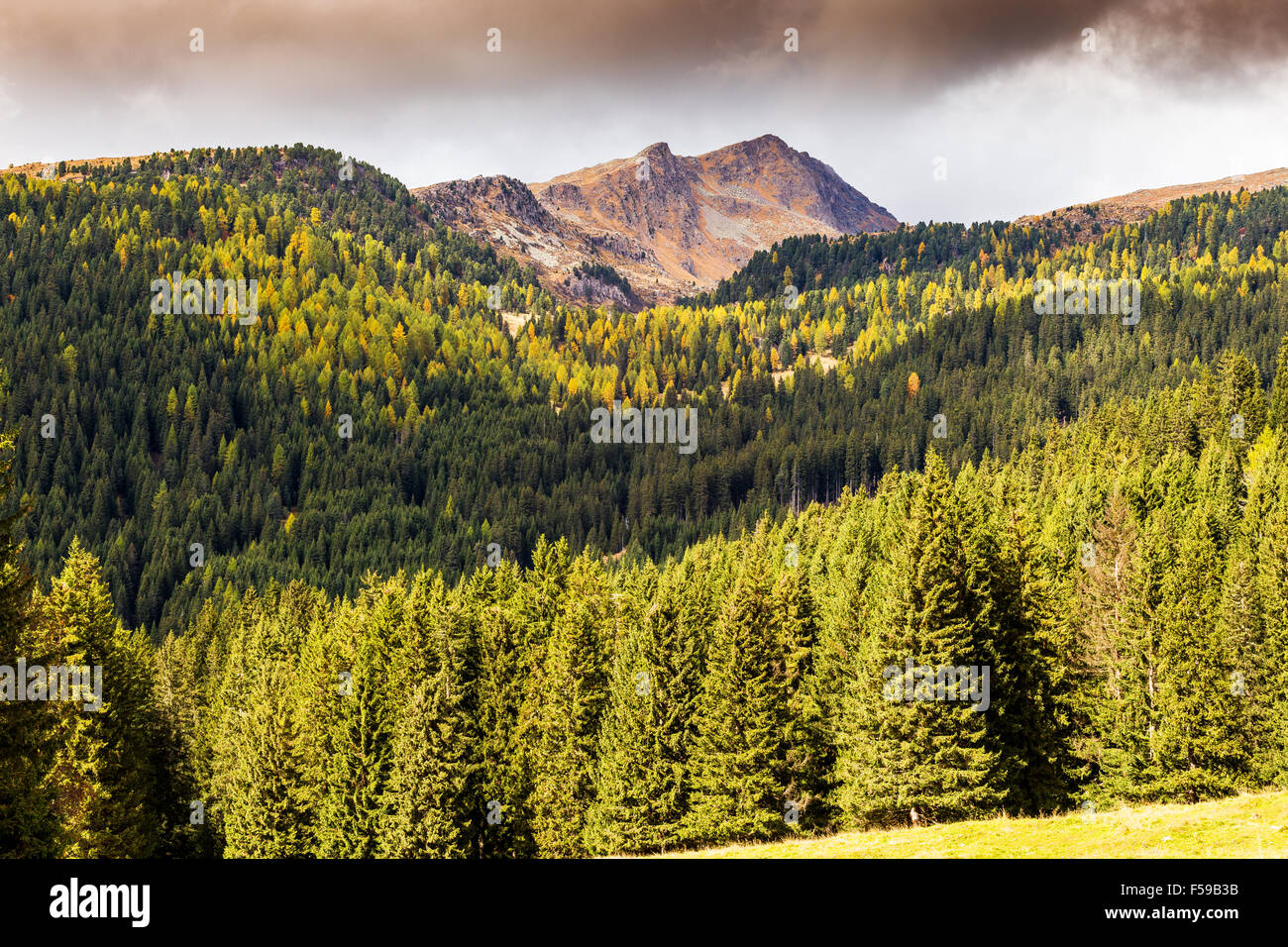 Sunlight on Cima Bocche mountain peak and coniferous forest near Passo Valles. Trentino. Italian Alps. Europe. Stock Photo