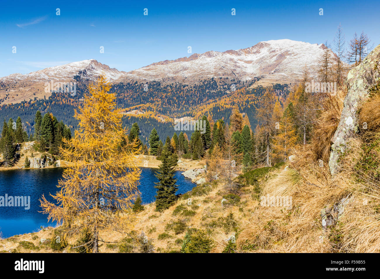 Autumn season, Colbricon Lake, The Lagorai massif. The Dolomites. Paneveggio-Pale di San Martino Nature Park. Trentino, Italian Alps. Stock Photo