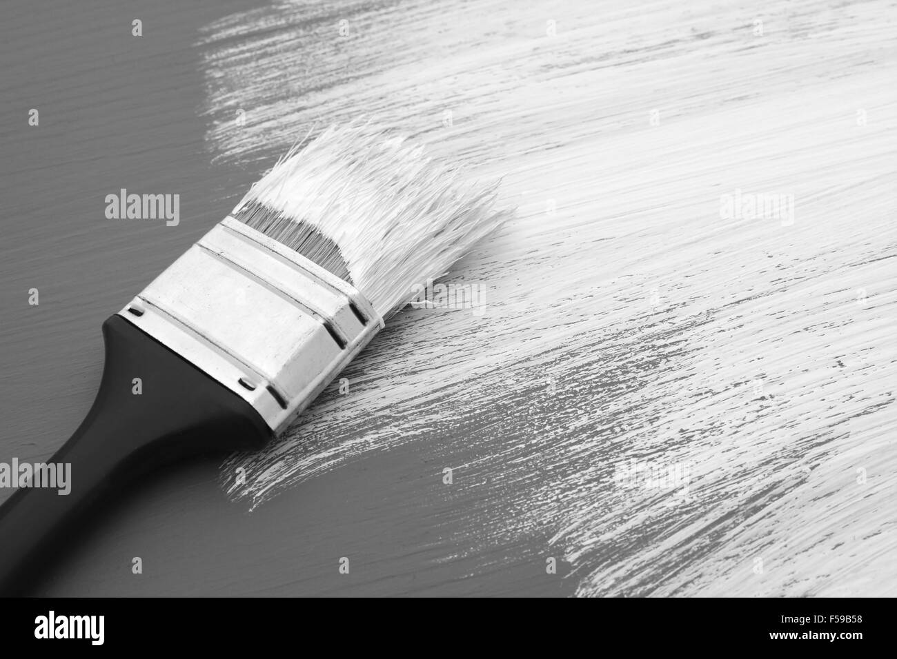 Paintbrush Photography Black And White