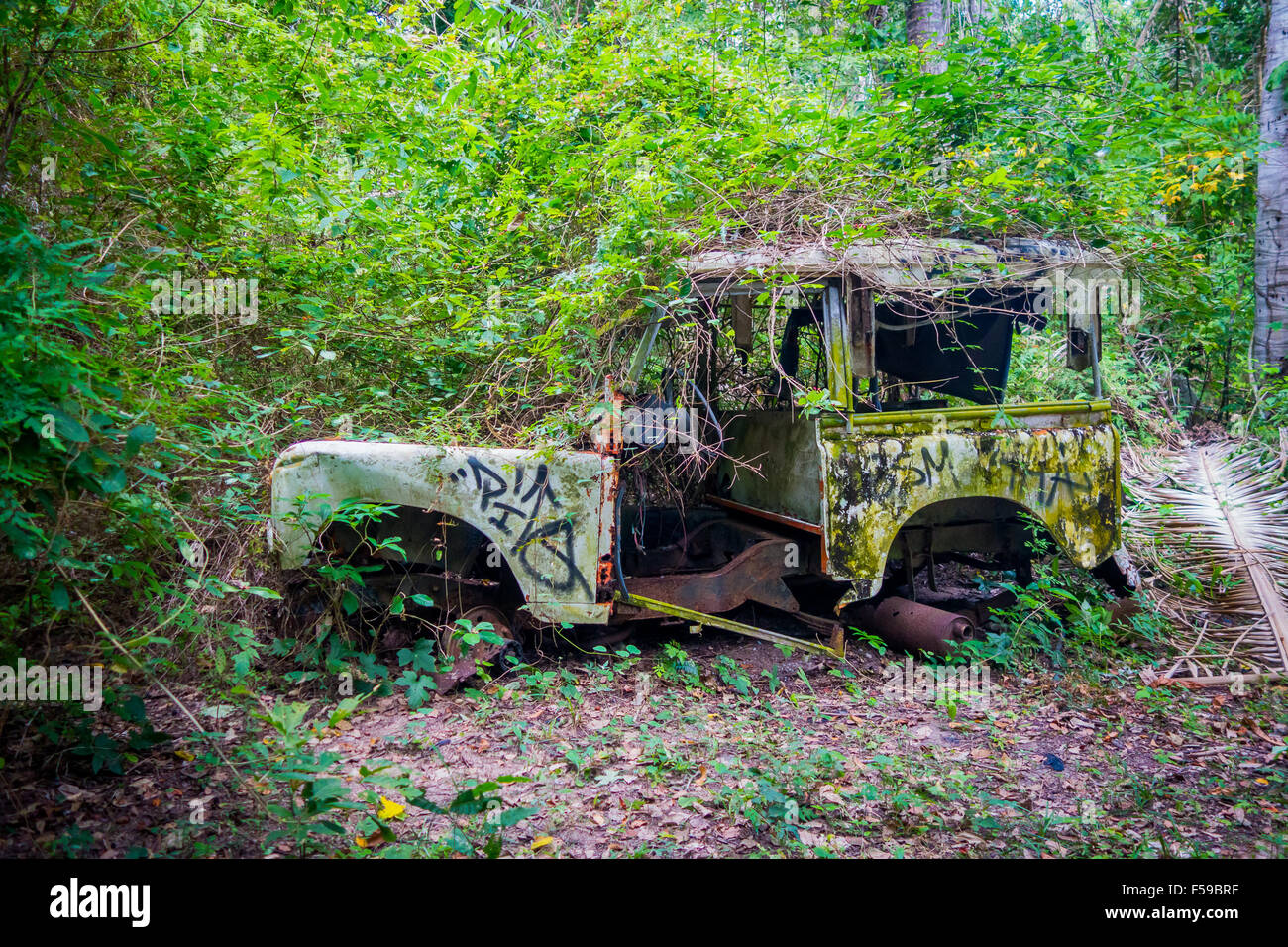 Car in the jungle hi-res stock photography and images - Alamy