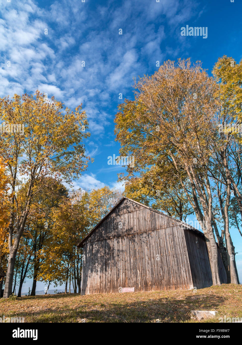 Old wooden barn surrounded by trees in fall colors Stock Photo