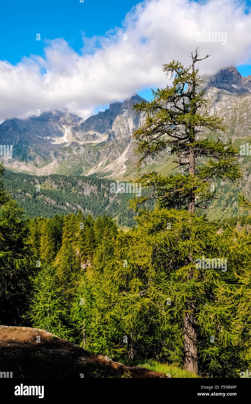 Italy Piedmont Alpe Devero Natural Park mountain landscape of the Alpe ...