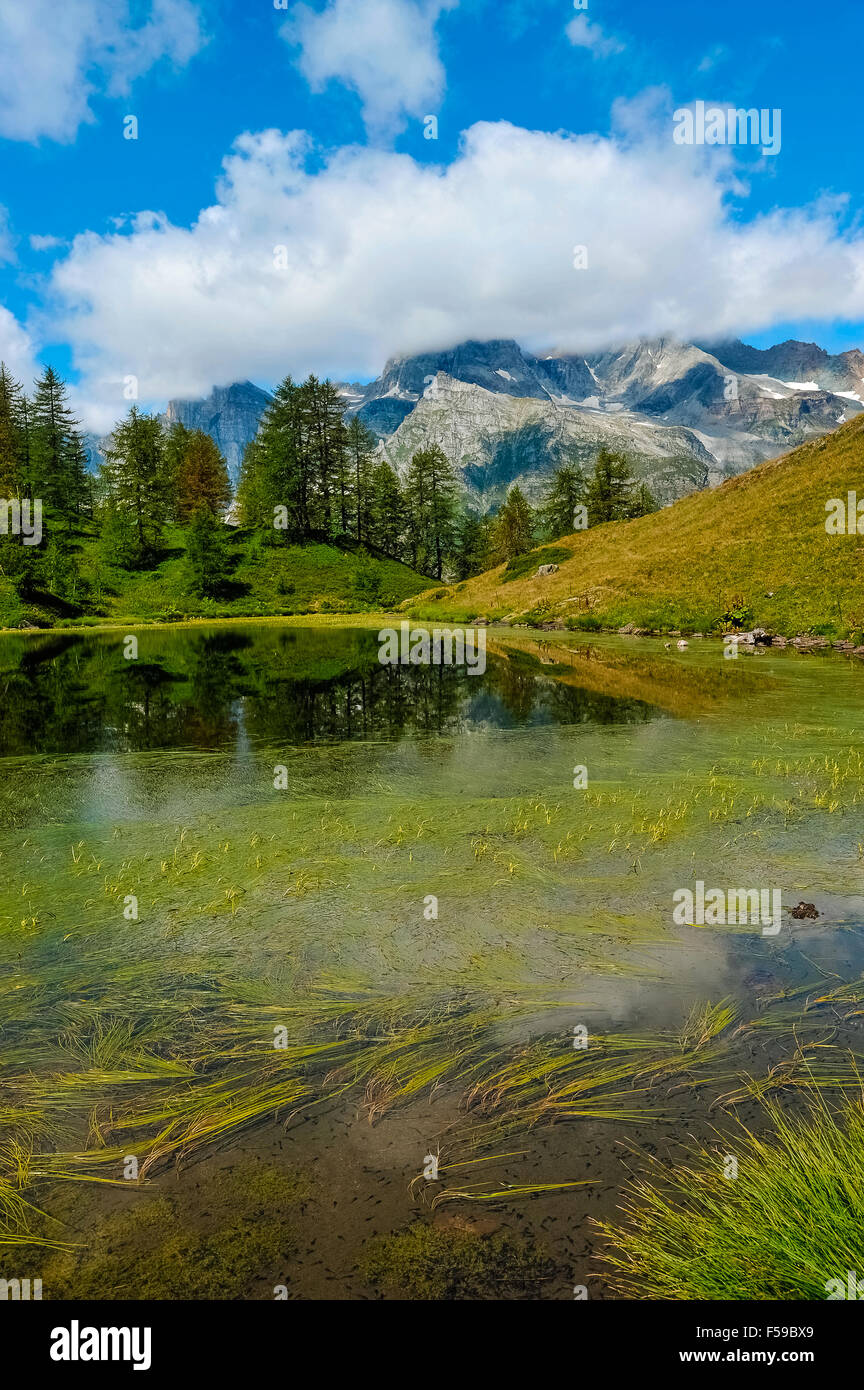 Italy, Piedmont, Alpe Devero natural Park Sangiatto lake Stock Photo ...