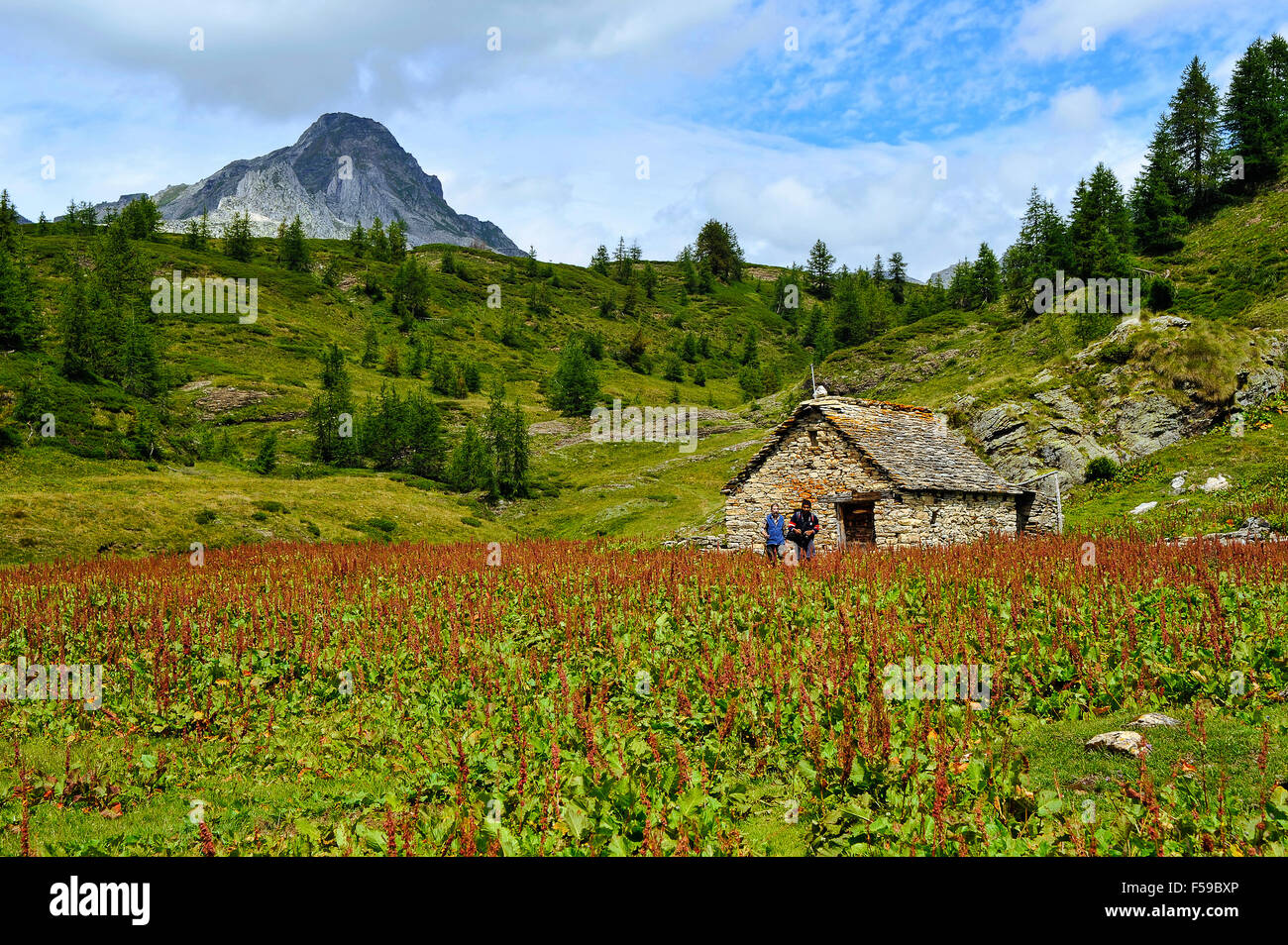 Italy Piedmont Alpe Devero Natural Park Stock Photo - Alamy