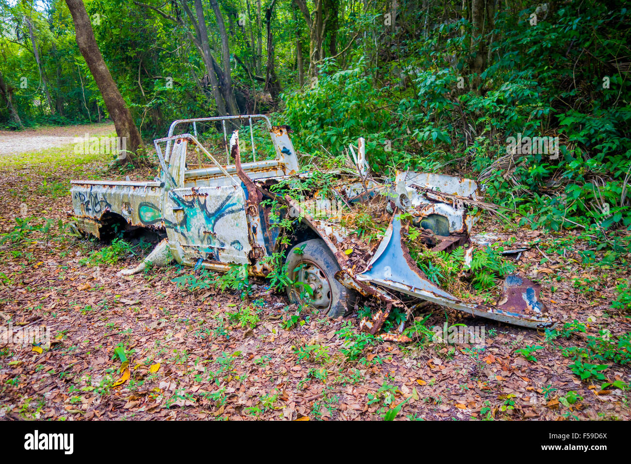 Abandoned car in the jungle Stock Photo - Alamy