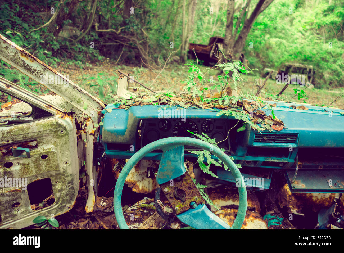 Abandoned car in the jungle Stock Photo - Alamy