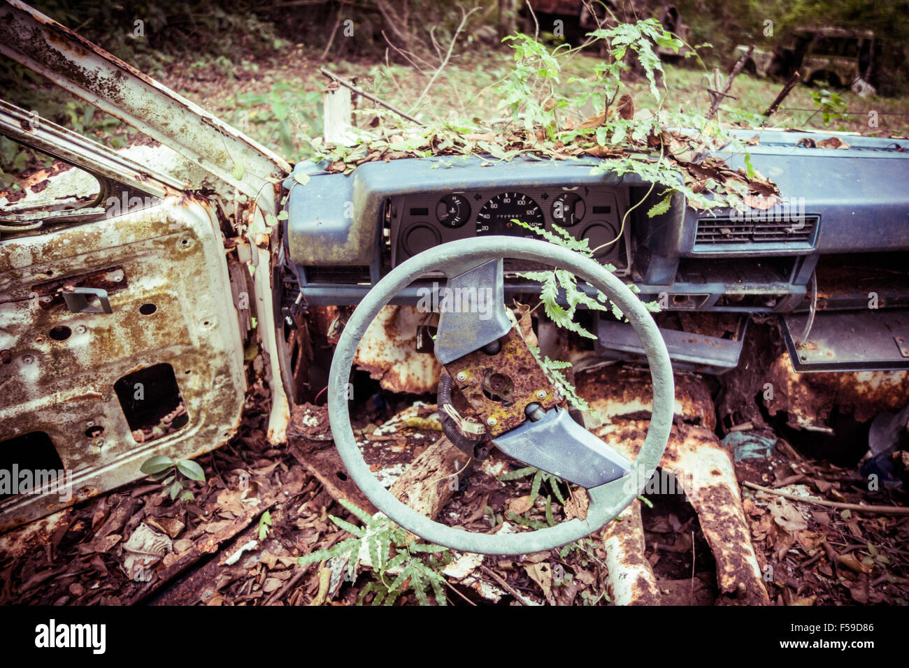 Abandoned car in the jungle Stock Photo - Alamy