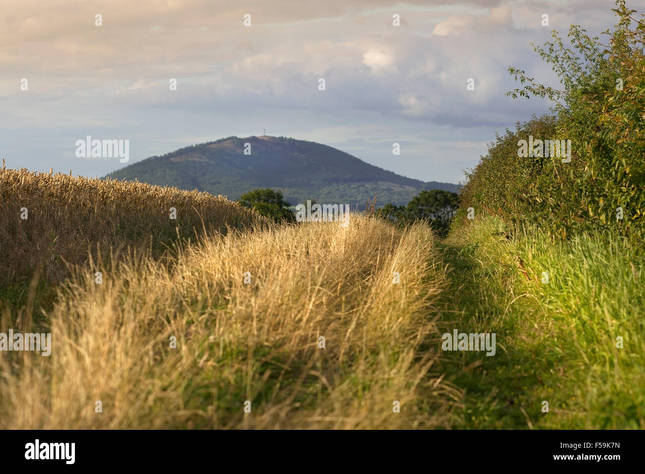 The Wrekin Hill View From the Countryside Road Stock Photo Alamy