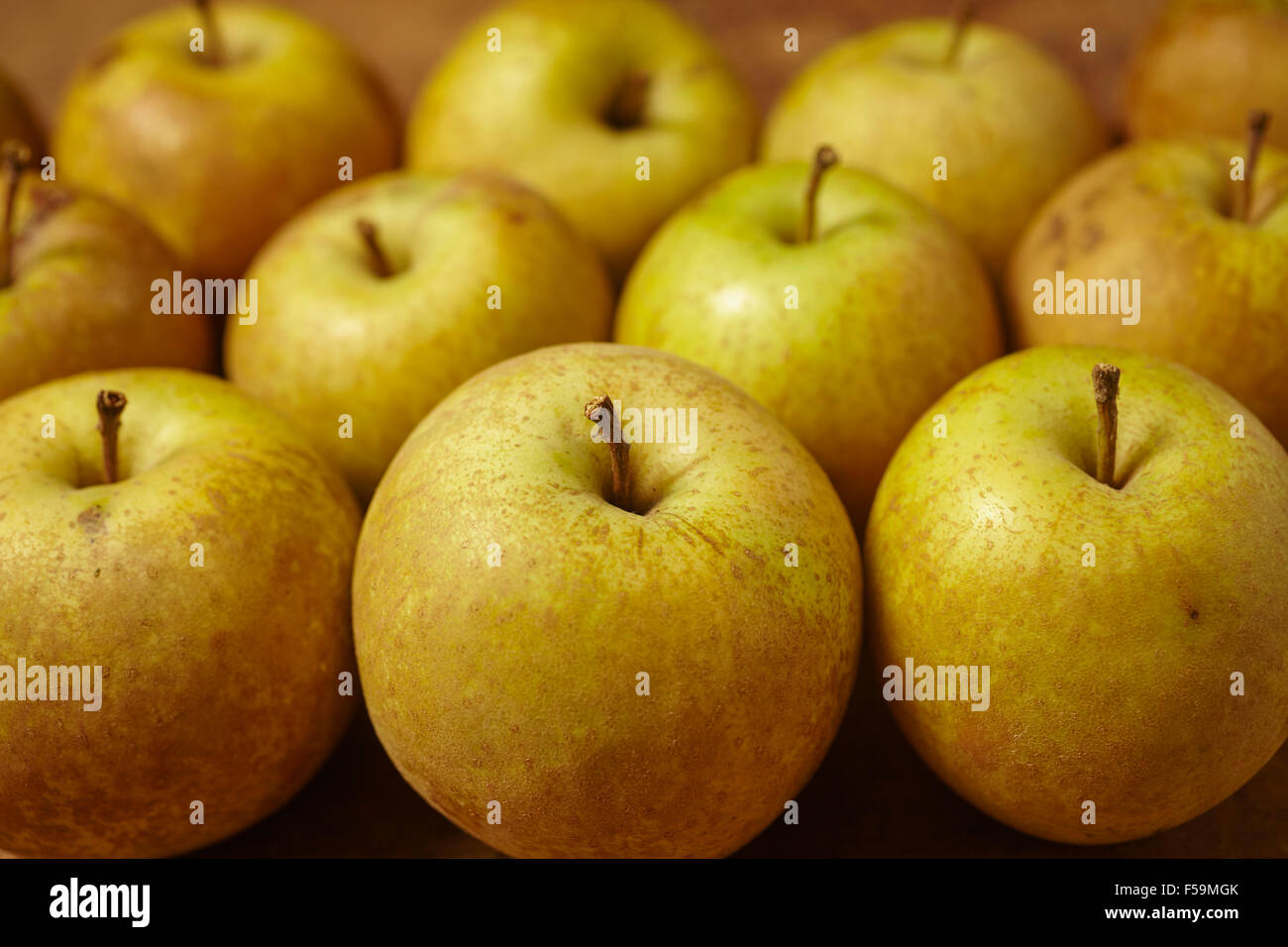 Heirloom apples from Lancaster County, Pennsylvania, USA Stock Photo