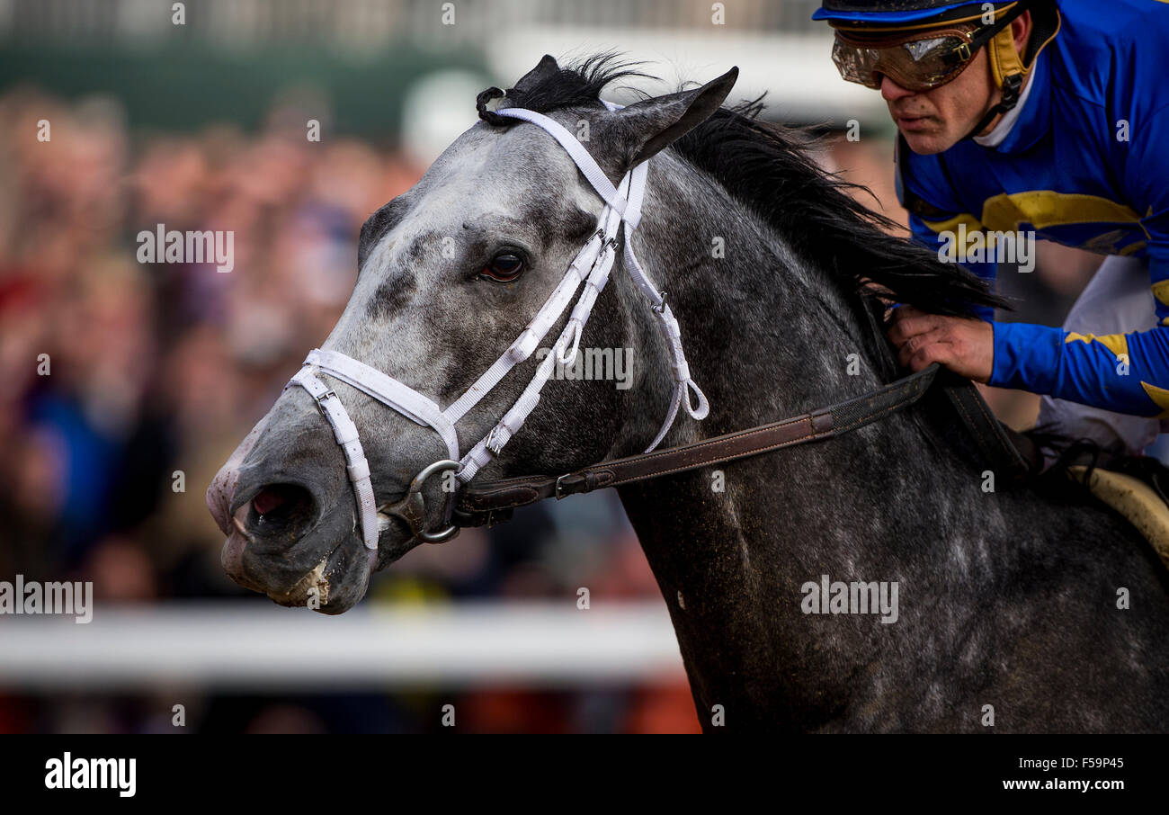 Lexington, KY, USA. 30th Oct, 2015. October 30, 2015: Liam's Map with Javier Castellano aboard wins the Breeders' Cup Dirt Mile at Keeneland Race Track in Lexington, Kentucky. Evers/ESW/CSM/Alamy Live News Stock Photo