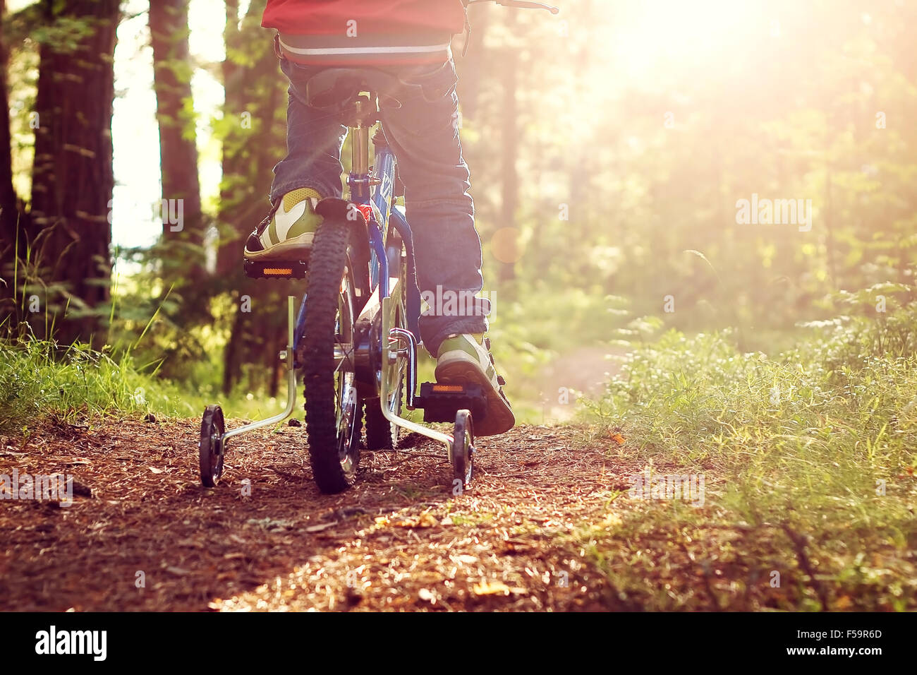 Boy on bike in the forest Stock Photo