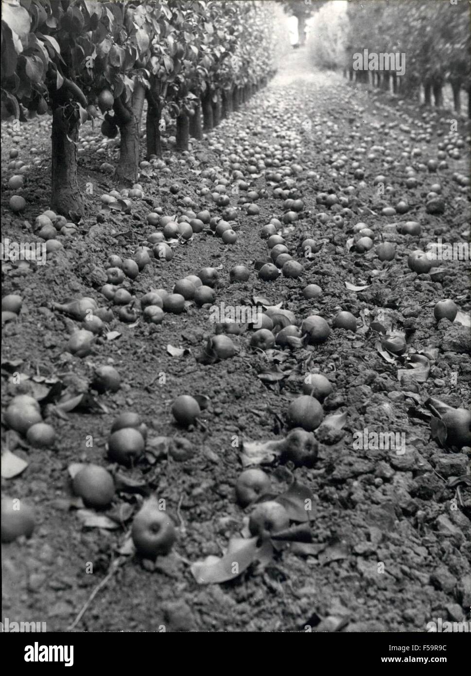 1972 - Several Regions of France devastated by violent storms and Hail ...