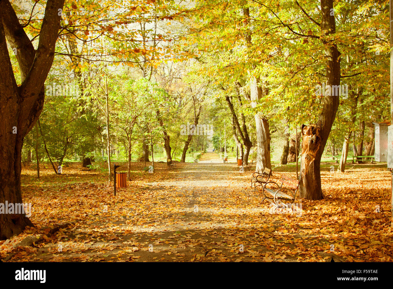 Vintage photo of path in the autumn park Stock Photo - Alamy