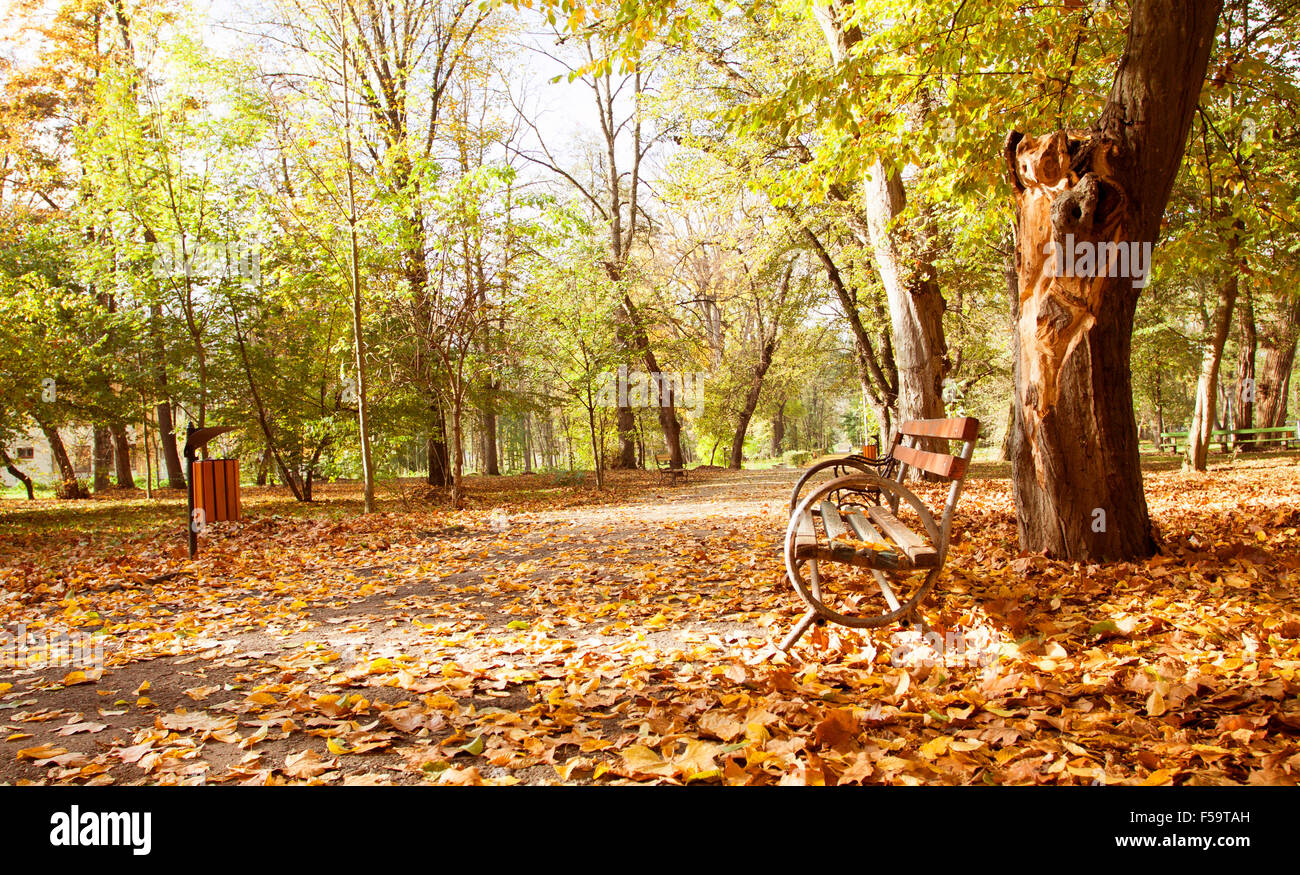 Wooden bench in autumn park - vintage photo Stock Photo - Alamy