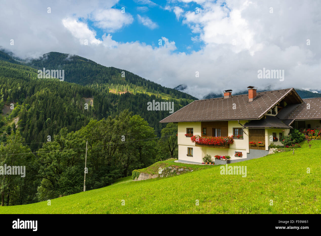 Traditional alpine house in green forest mountains. Horizontal shot ...