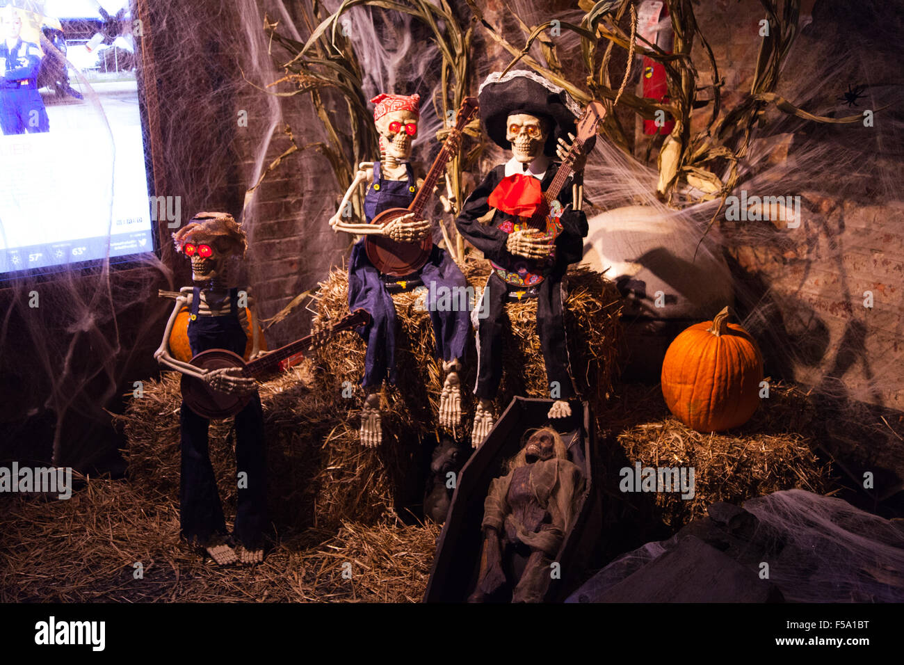 Halloween display hires stock photography and images Alamy