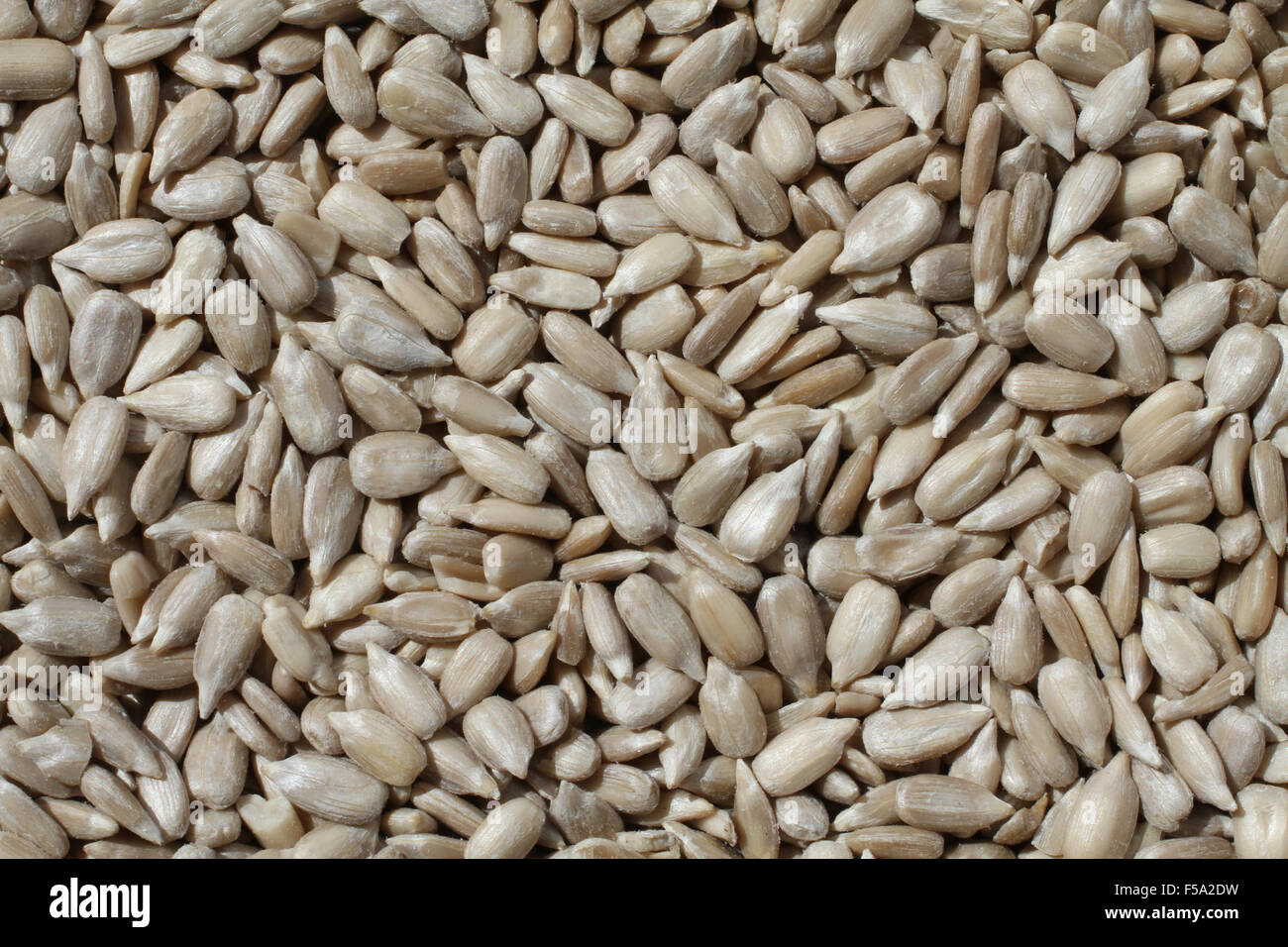 Sunflower seeds background Stock Photo Alamy