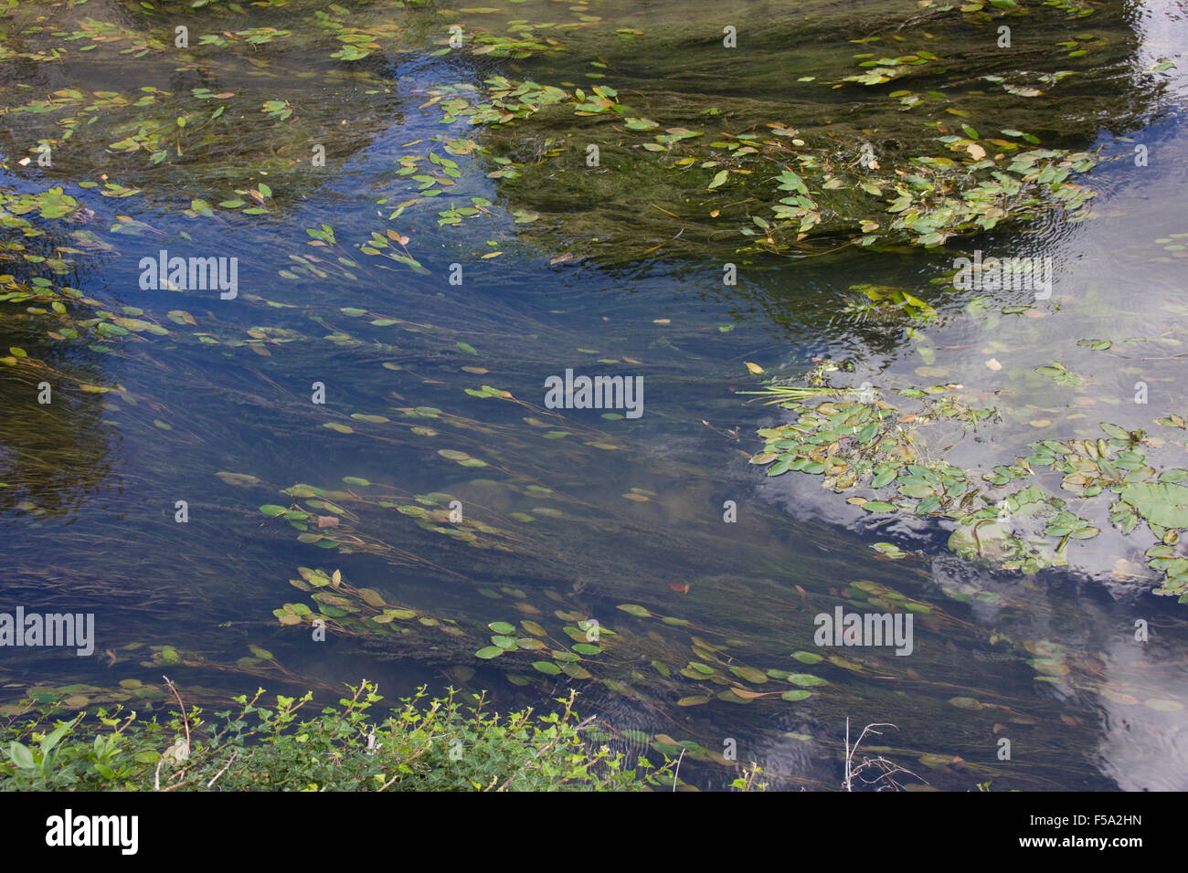 The River Yevre at Mehun sur Yevre, Central France Stock Photo