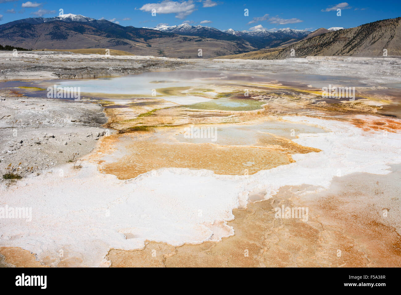 Canary Spring, Travertine Terraces, Mammoth Hot Springs, Yellowstone National Park, Wyoming, USA Stock Photo