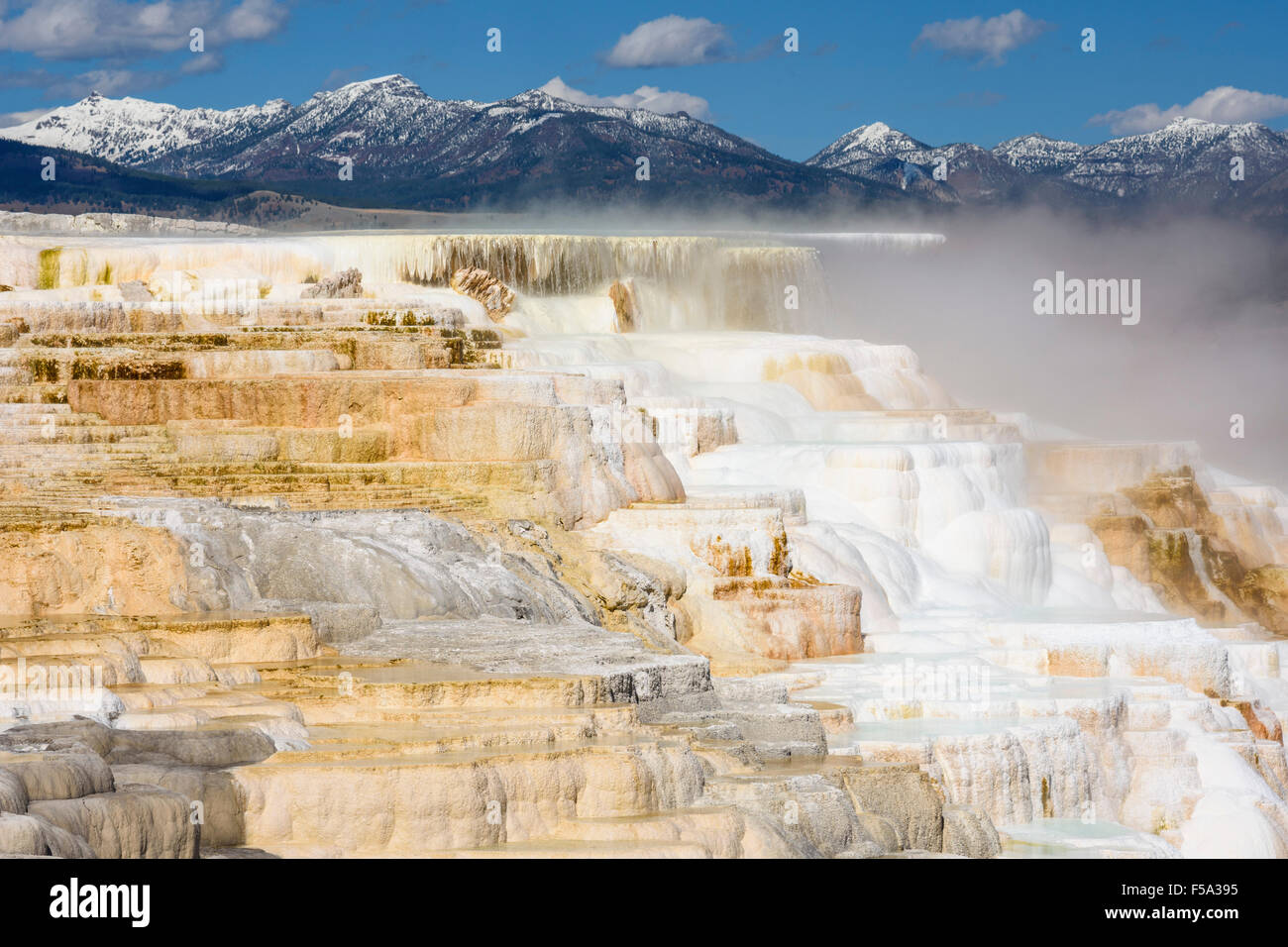 Canary Spring, Travertine Terraces, Mammoth Hot Springs, Yellowstone National Park, Wyoming, USA Stock Photo