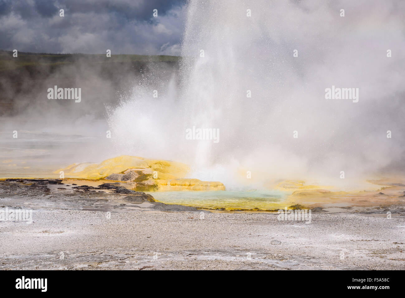 Clepsydra Geyser, Lower Geyser Basin, Yellowstone National Park, Wyoming, USA Stock Photo