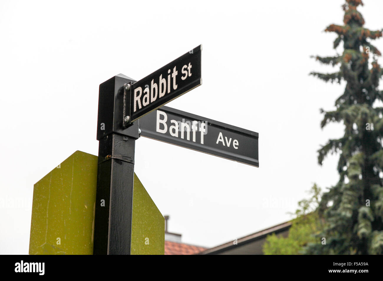 A metal street sign saying Rabbit Street and Banff Avenue in Banff Alberta Canada Stock Photo
