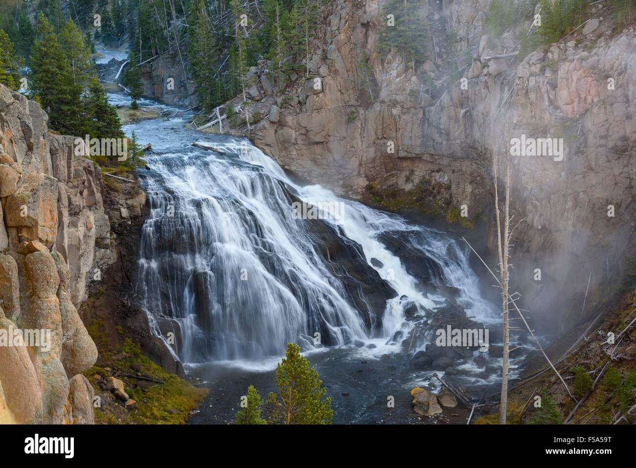 Gibbon Falls, Yellowstone National Park, Wyoming, USA Stock Photo