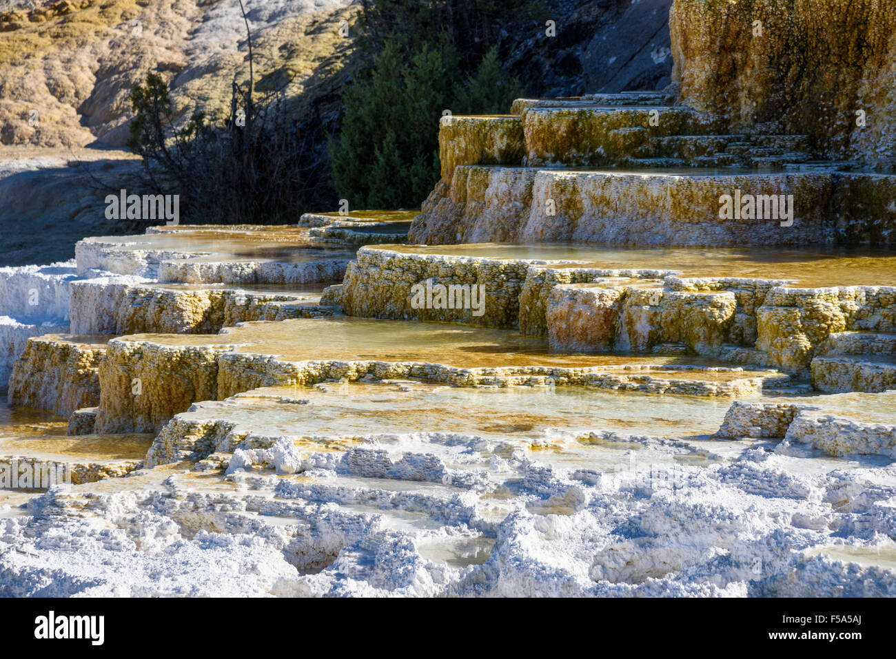 Palette Spring, Tavertine Terraces, Mammoth Hot Springs, Yellowstone National Park, Wyoming, USA Stock Photo