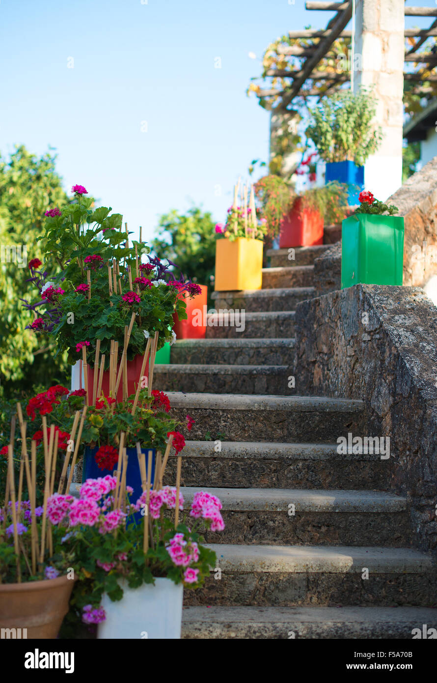 Stone stairs with flowers in front of house entrance Stock Photo - Alamy