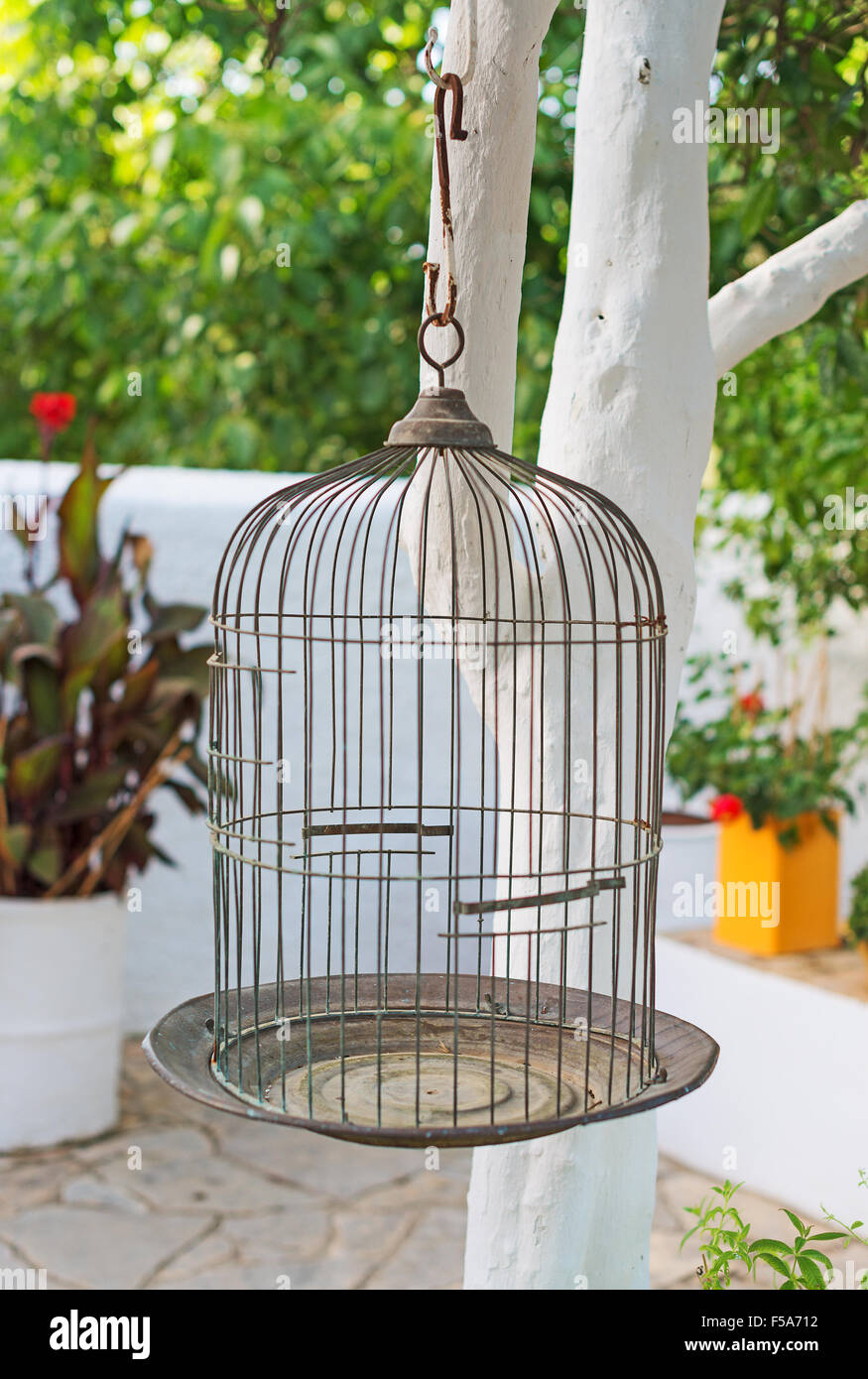 Hanging Bird Cages - by