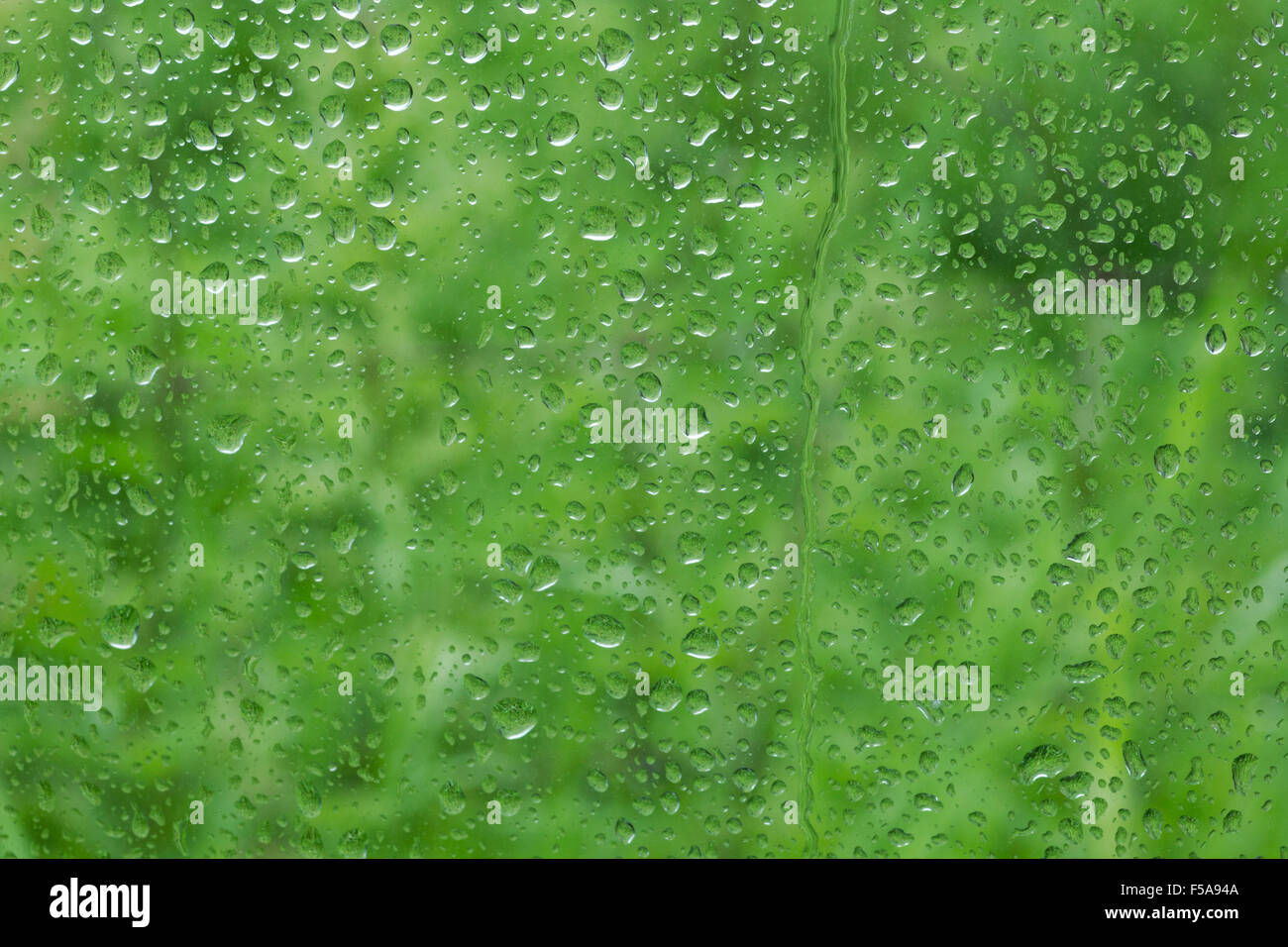 rain drops on a window with green plants behind Stock Photo