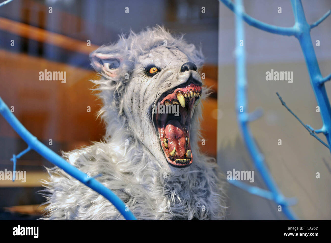 Brussels, Belgium. 31st October, 2015. Werewolf head on a mannequin in a clothes shop window display to coincide with Halloween in the centre of Brussels today. Credit:  Phil Rees/Alamy Live News Stock Photo