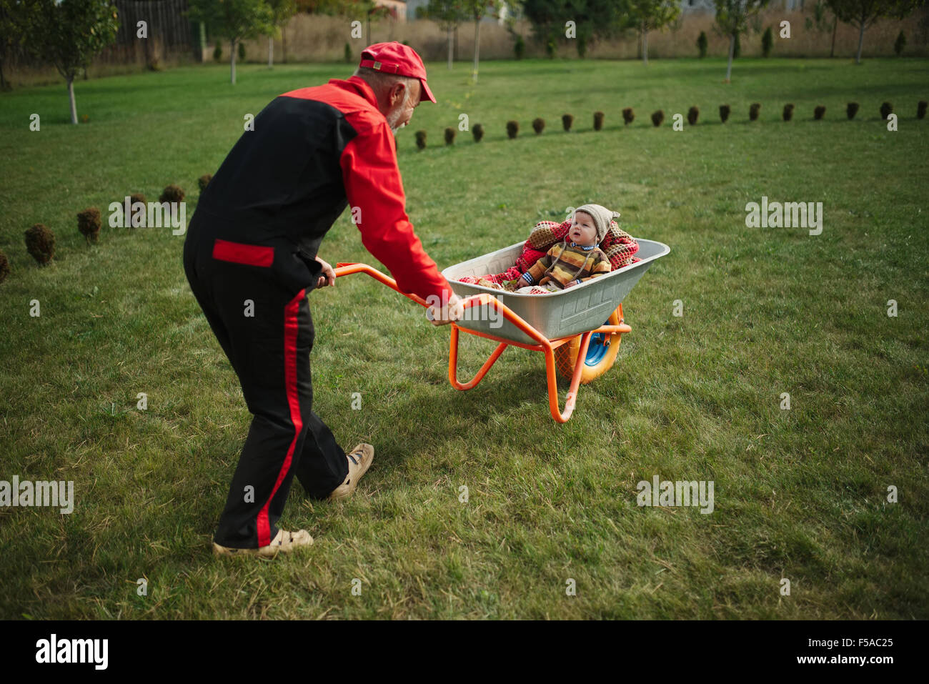 cute little boy sitting in wheelbarrow Stock Photo - Alamy