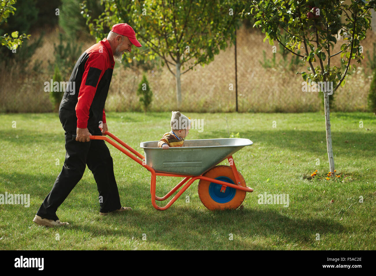 cute little boy sitting in wheelbarrow Stock Photo - Alamy