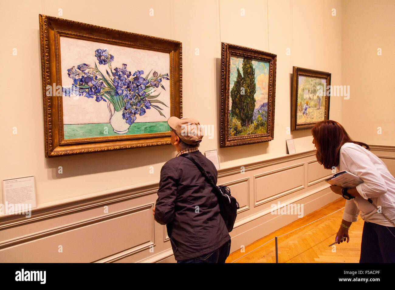 Met van gogh hot sale paintings