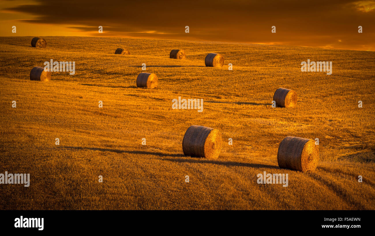 Amazing rural landscape. Sunset and haystacks on a hill Stock Photo - Alamy
