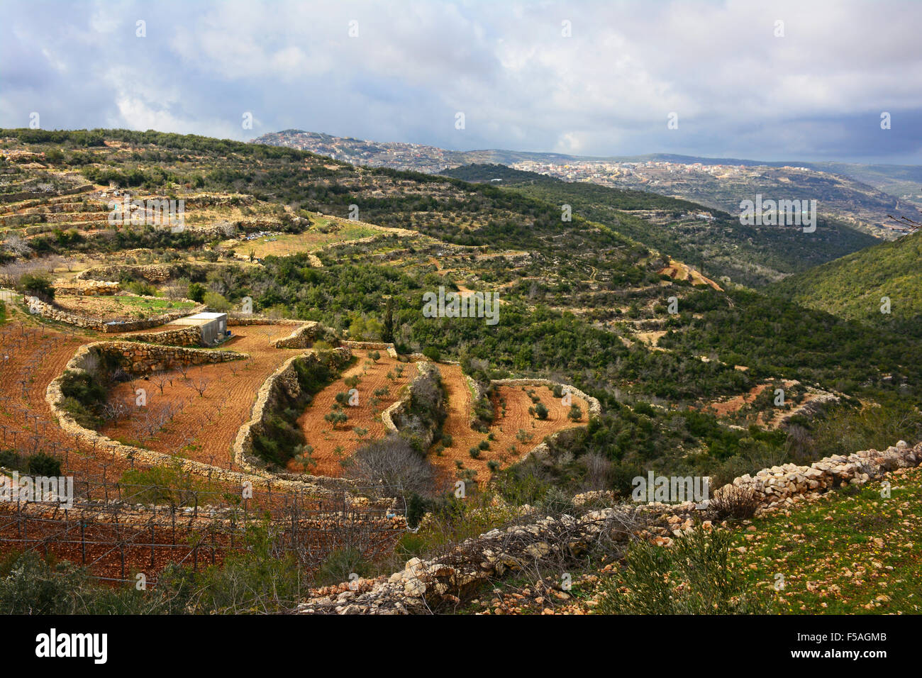 Northern Galilee terraces, Israel Stock Photo