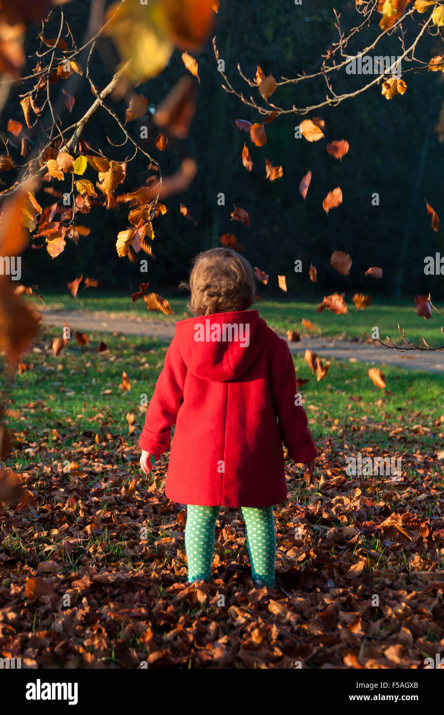 Toddler playing with autumn leaves for the first time Stock Photo